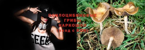ГАЛЛЮЦИНОГЕННЫЕ ГРИБЫ Лихославль
