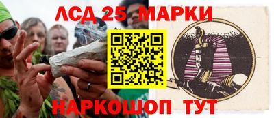 шишки Лесосибирск