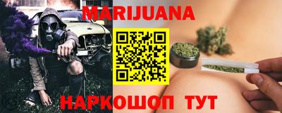 шишки Лесосибирск