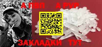 шишки Лесосибирск