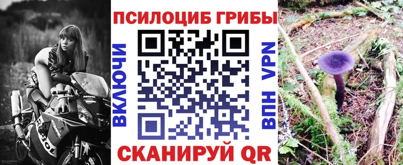 где можно купить   Мыски  Псилоцибиновые грибы Magic Shrooms 