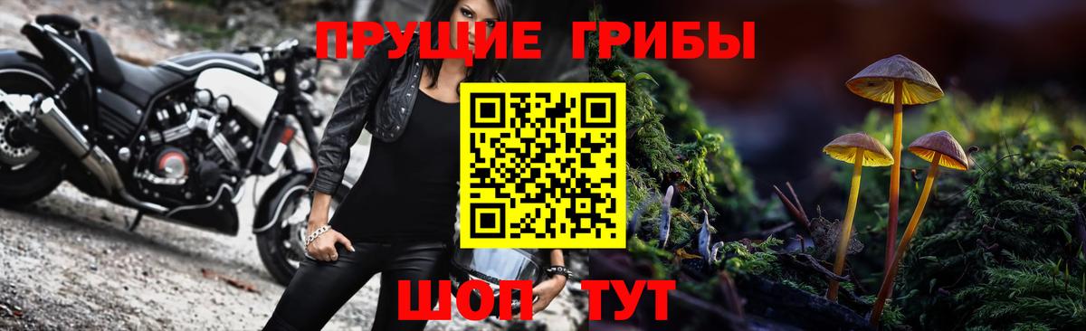 Мыски  Галлюциногенные грибы GOLDEN TEACHER  Вход с VPN 