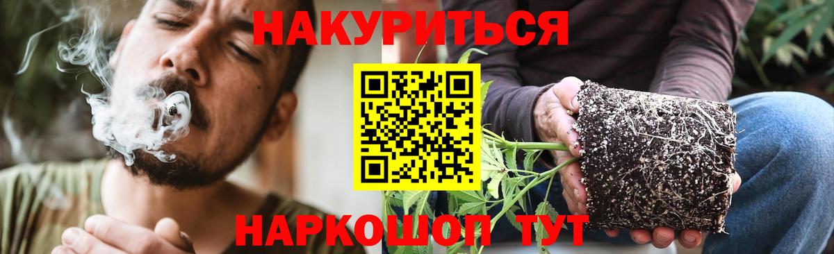 Конопля ГИДРОПОН  Вход с VPN  Мыски  Бошки Шишки Amnesia  Конопля планчик 